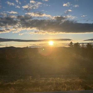 Meet your Posher, Giada